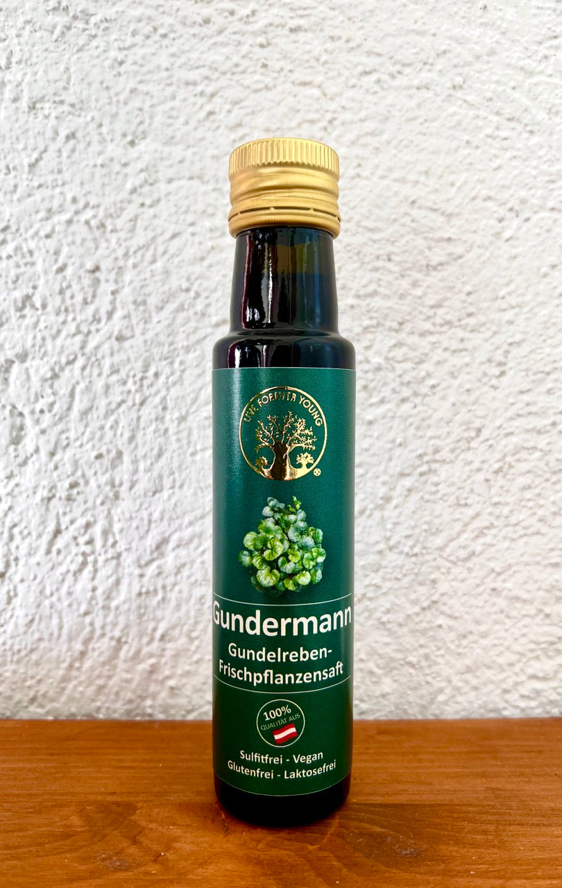 3 - Gundermann Gundelreben-Frischpflanzensaft 100ml