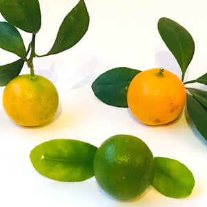 Kumquat CloseUp