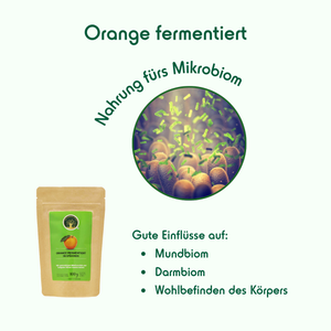1 - Fermented Orange