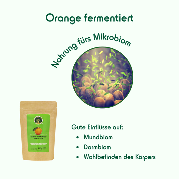 1 - Fermented Orange