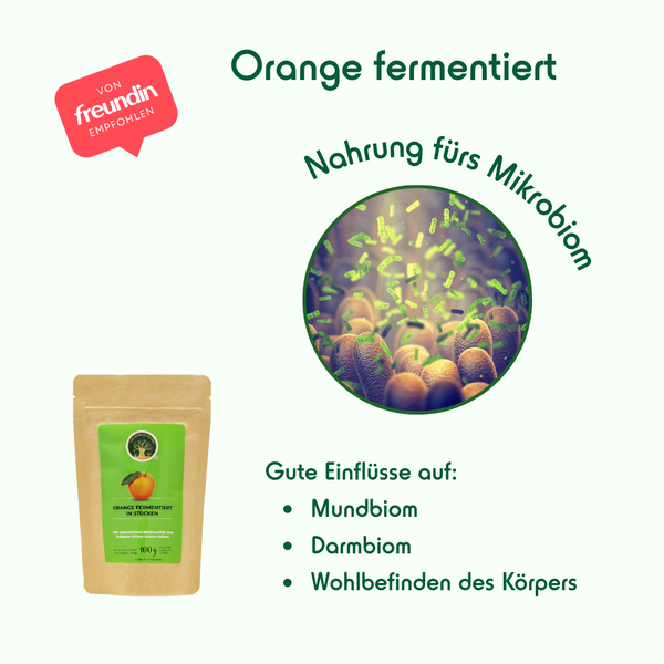1 - Fermentierte Orange