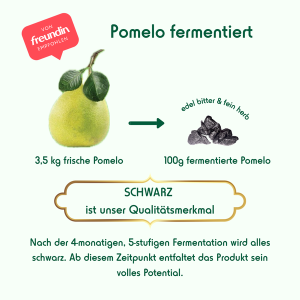 1 - Fermentierte Pomelo