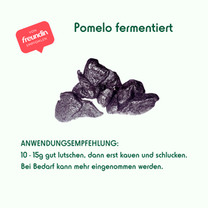 1 - Fermentierte Pomelo