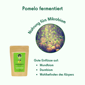 1 - Fermented Pomelo