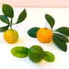 1 - Fermentierte Kumquat